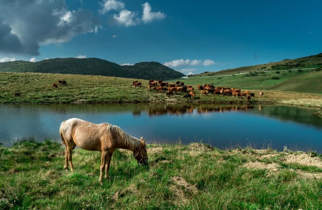周末免门票！围观赛事+优惠住宿+云海草原，承包你的周末快乐！